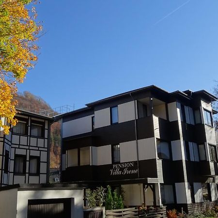 Pension Villa Irene Bad Harzburg Exterior foto